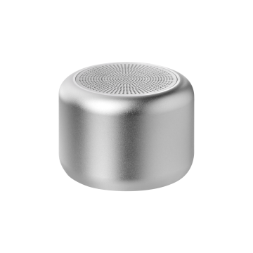 Portobello Беспроводная колонка Пэшн (Passion) 80dB 600 mAh (Bluetooth 5.0), серебряная с логотипом на заказ